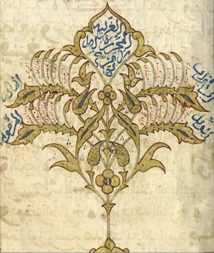 Tree of modes (nuba) small